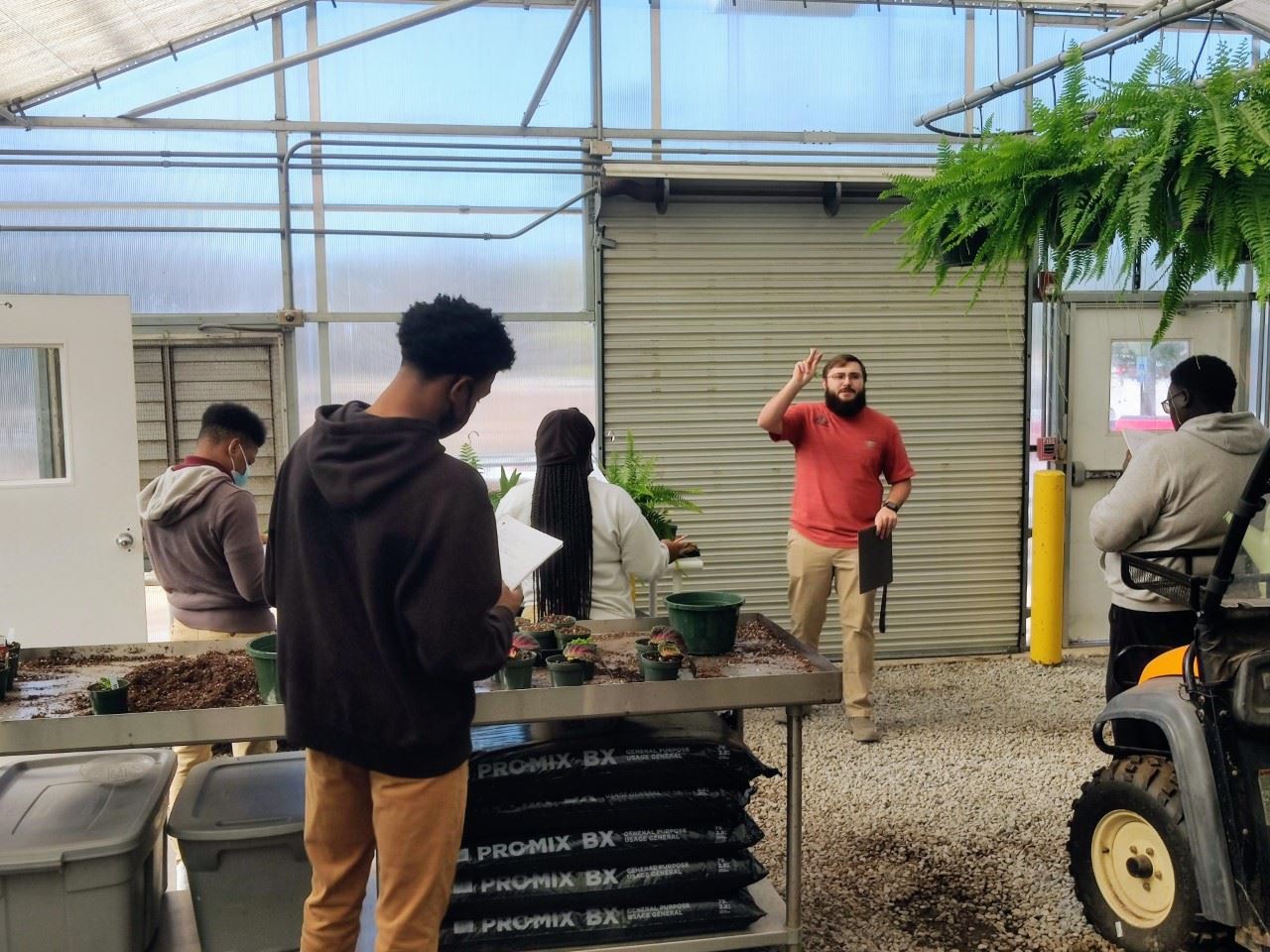greenhouse greenhouse
